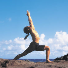 Energy Balance Yoga DVD with Rodney Yee