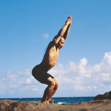 Energy Balance Yoga DVD with Rodney Yee