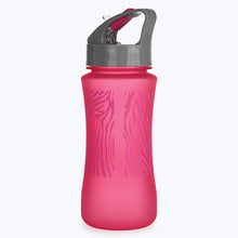 Kids Pink Zebra Water Bottle