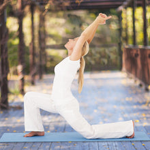 Easy Yoga DVD with Rodney Yee