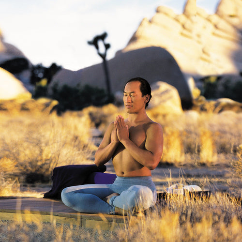 Relaxation and Breathing for Meditation DVD with Rodney Yee