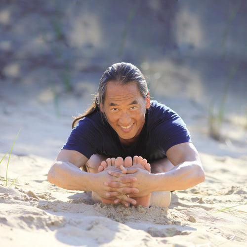 Ultimate Power Yoga DVD with Rodney Yee